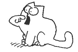 cat
